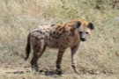ta-0698